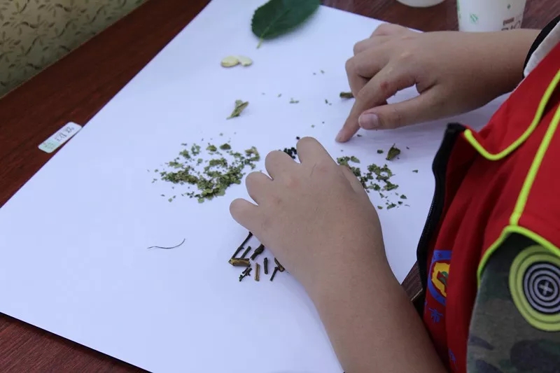 我院第二屆“小中醫(yī)”傳統(tǒng)醫(yī)學(xué)之旅成功舉辦