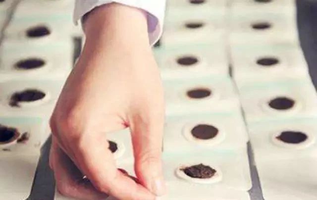 三伏灸▏三伏至，科學(xué)養(yǎng)生“治未病”