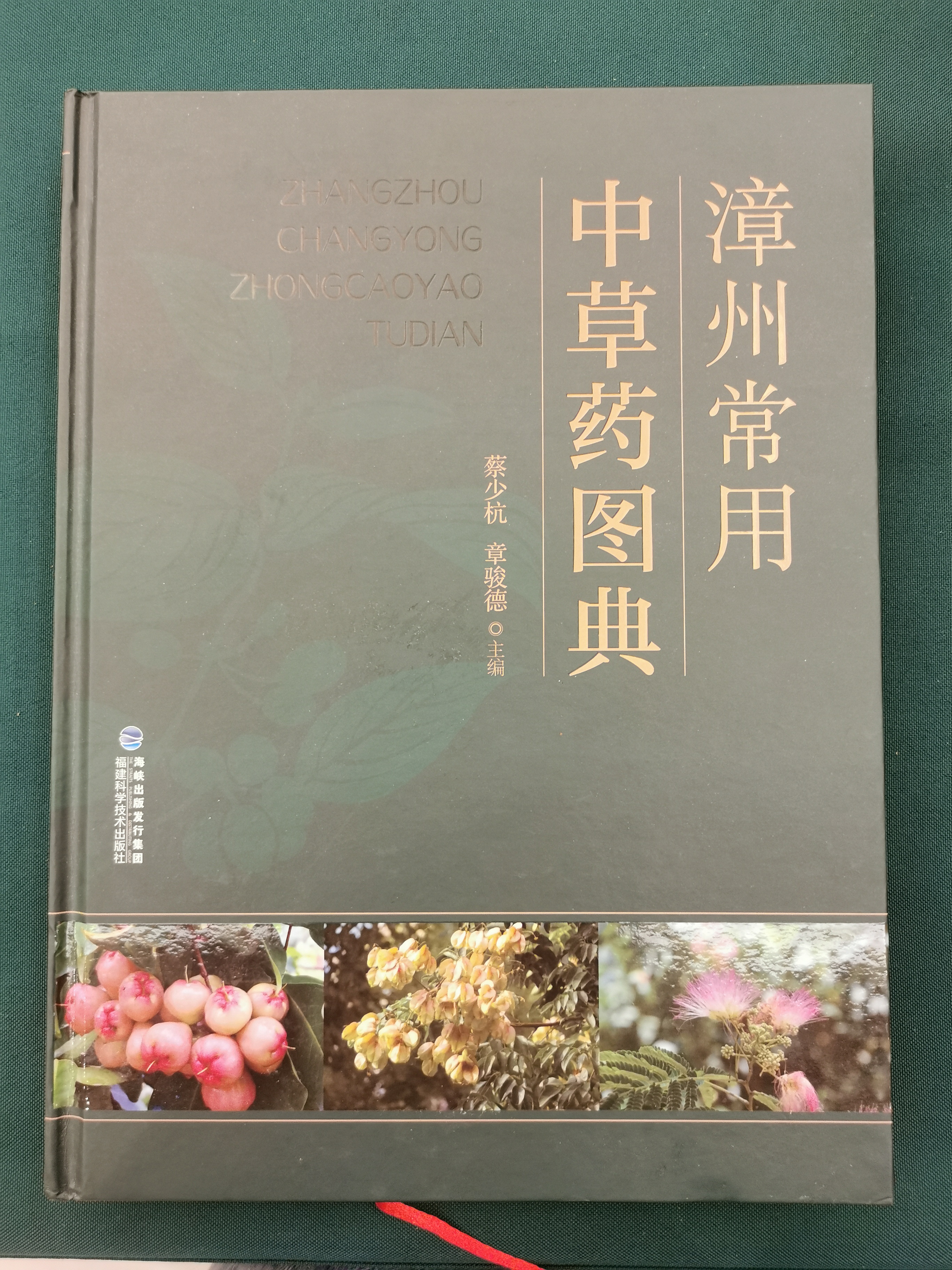 歷時五年 數(shù)易其稿《漳州常用中草藥圖典》終于與讀者見面了