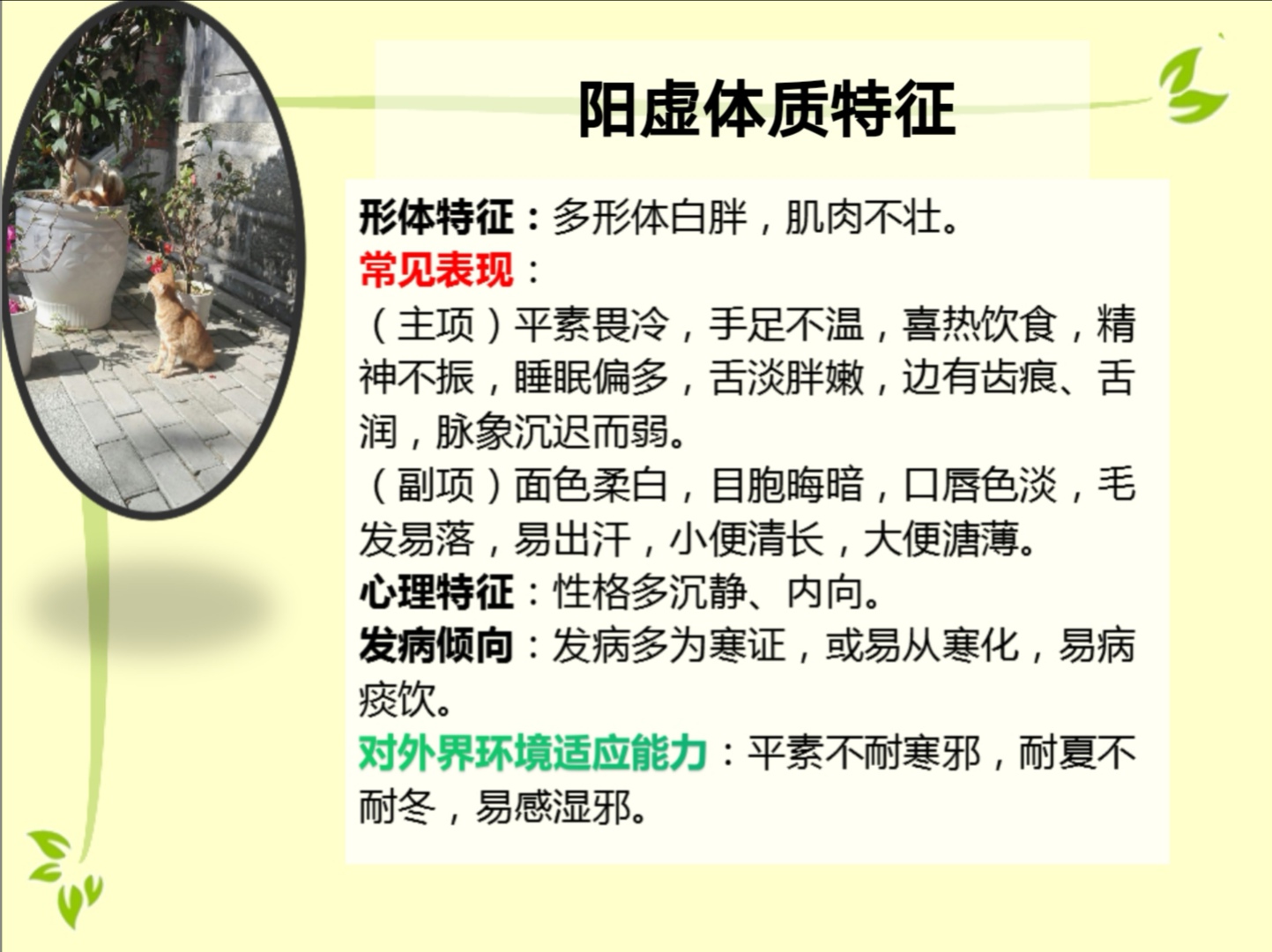 體質(zhì)養(yǎng)生調(diào)理之陽虛體質(zhì)