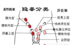 消失的“蛋蛋”去哪兒了