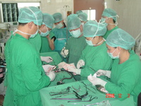 第二屆漳州市名中醫(yī) | 陳魯峰：中西醫(yī)結(jié)合治療百姓“脊梁”的名中醫(yī)