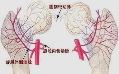 骨科機(jī)器人|精準(zhǔn)“導(dǎo)航”告別“暗箱操作”