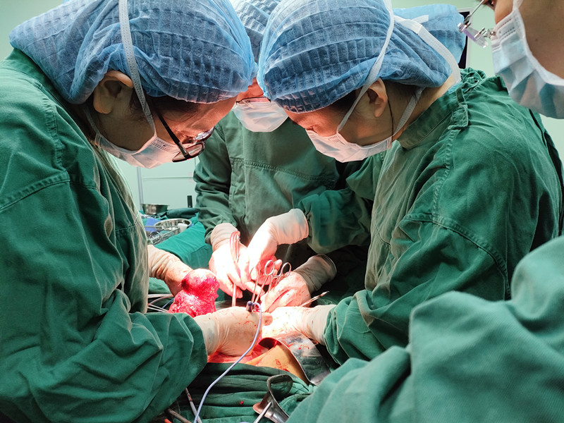 福建省婦科腫瘤防治聯(lián)盟漳州基地在我院正式掛牌啟動！