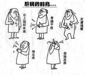 我的【肝】真的“受傷”了