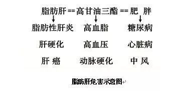 我的【肝】真的“受傷”了