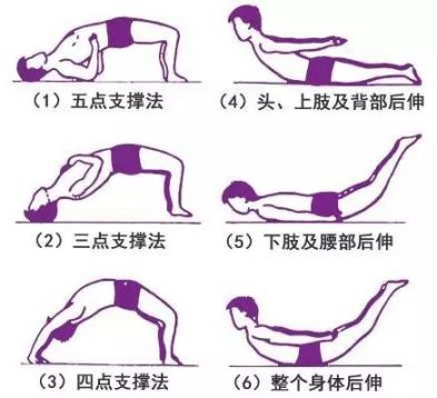 知己知彼、護腰有道