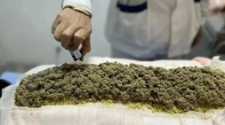 “綠色外治”服務百姓 發(fā)揮中醫(yī)藥特色優(yōu)勢