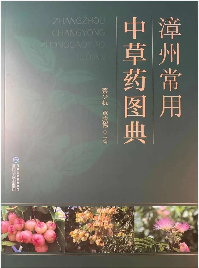 圖片17.jpg