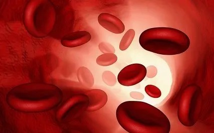 640 (1).jpg 640 (1).jpg