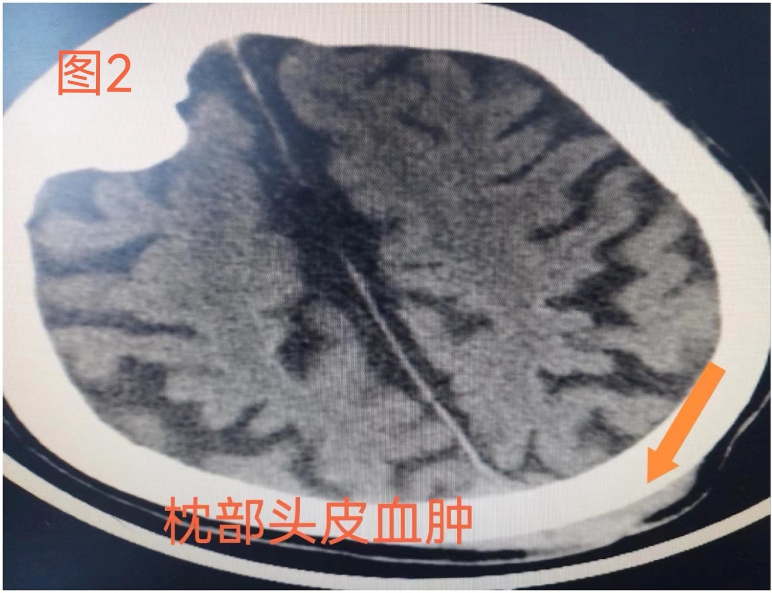 微信圖片_20240726102513 - 副本.jpg